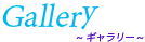 ギャラリー